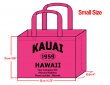 MEDIUM Pink-30x40x10cm Kauai 1959 & Your Info In Black